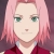 Sakura Haruno